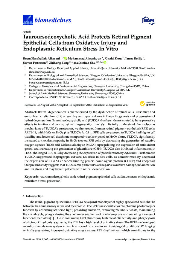 (PDF) Tauroursodeoxycholic Acid Protects Retinal Pigment Epithelial ...