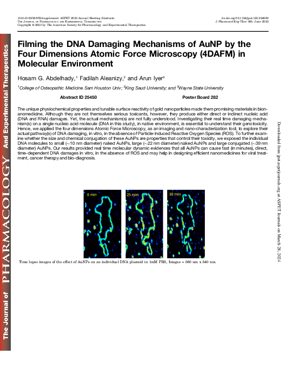 (PDF) Filming the DNA Damaging Mechanisms of AuNP by the Four ...