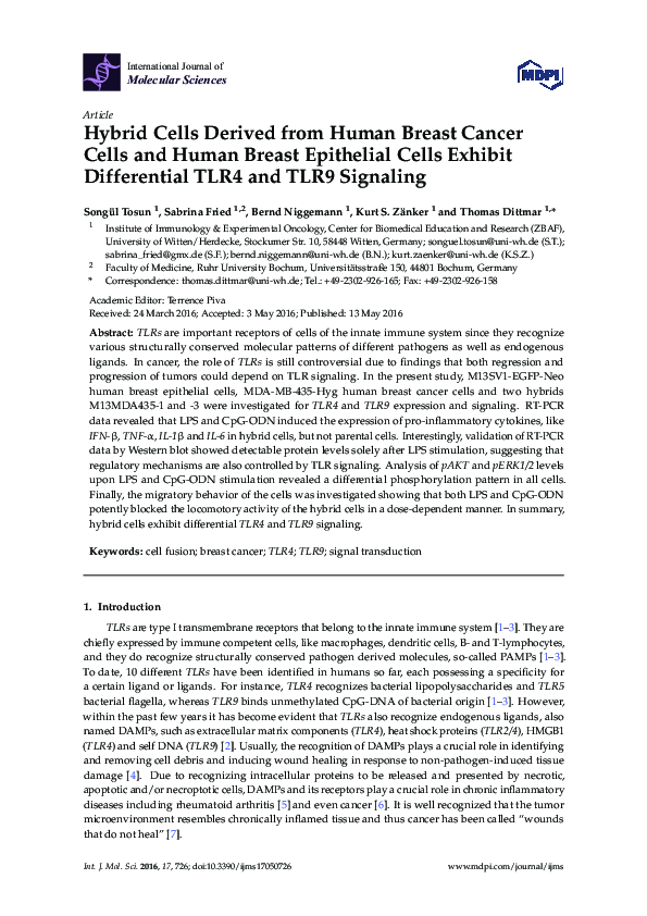 (PDF) Hybrid Cells Derived from Human Breast Cancer Cells and Human ...