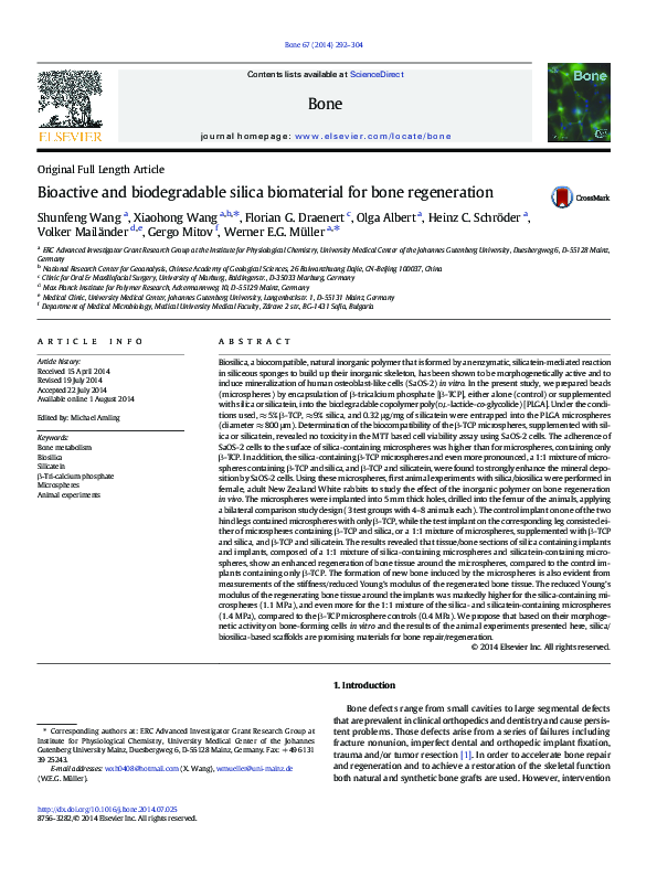 (PDF) Bioactive and biodegradable silica biomaterial for bone regeneration