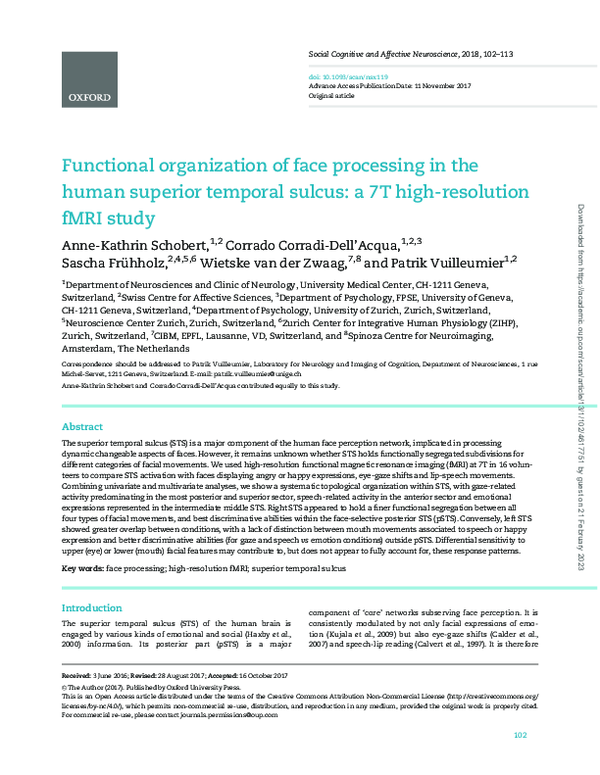 (PDF) Functional organization of face processing in the human superior ...