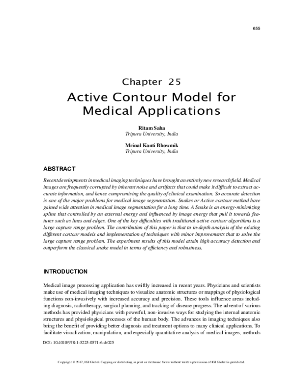 (PDF) Active Contour Model for Medical Applications