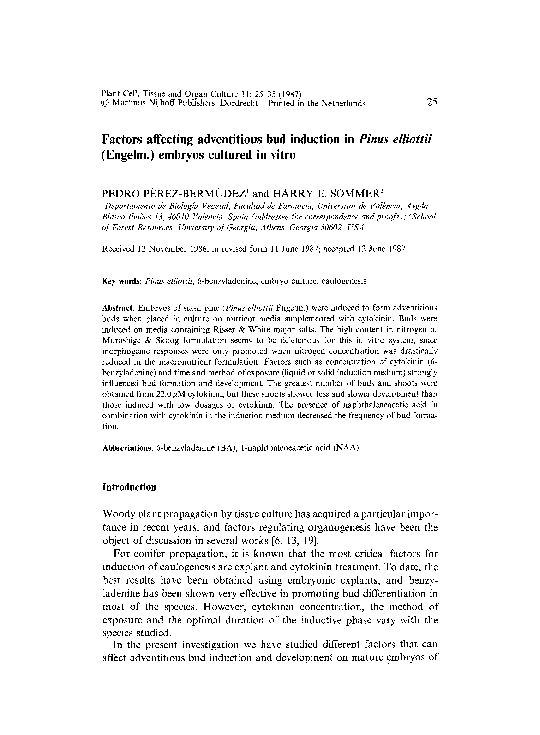 (PDF) Factors affecting adventitious bud induction in Pinus elliottii ...
