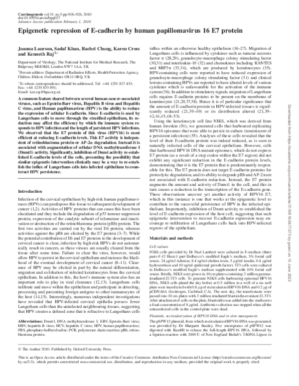 (PDF) Epigenetic repression of E-cadherin by human papillomavirus 16 E7 ...