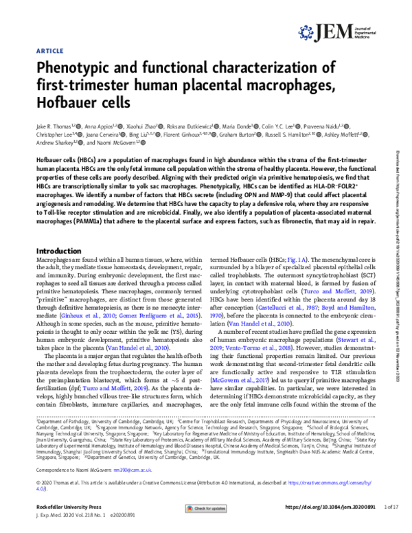 (PDF) Phenotypic and functional characterization of first-trimester ...