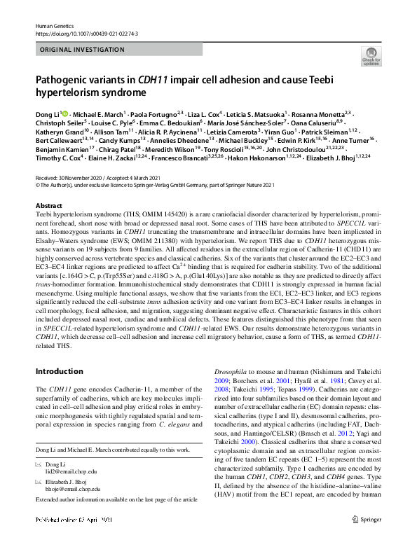 (PDF) Pathogenic variants in CDH11 impair cell adhesion and cause Teebi ...