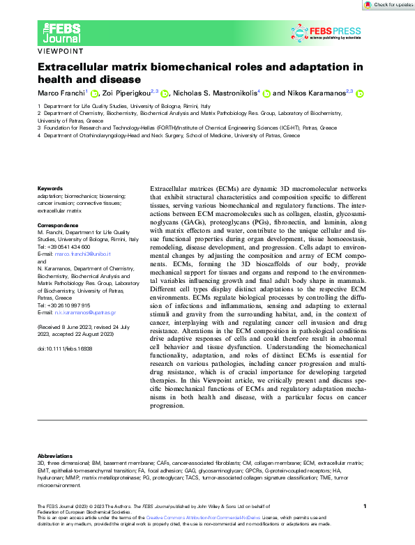 (PDF) Extracellular matrix biomechanical roles and adaptation in health ...