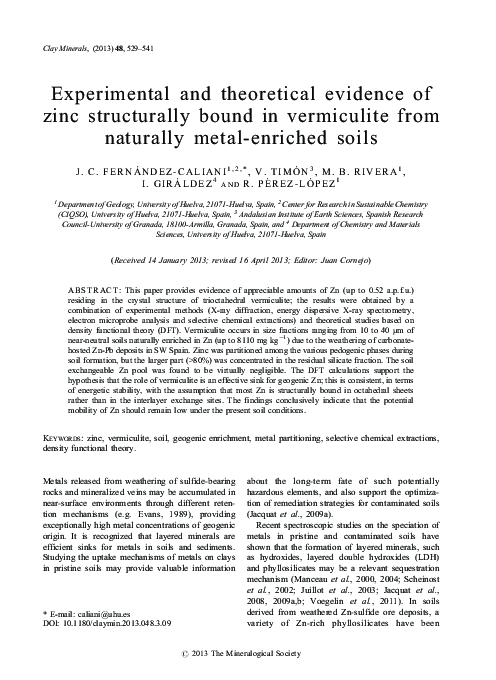 (PDF) Experimental and theoretical evidence of zinc structurally bound ...