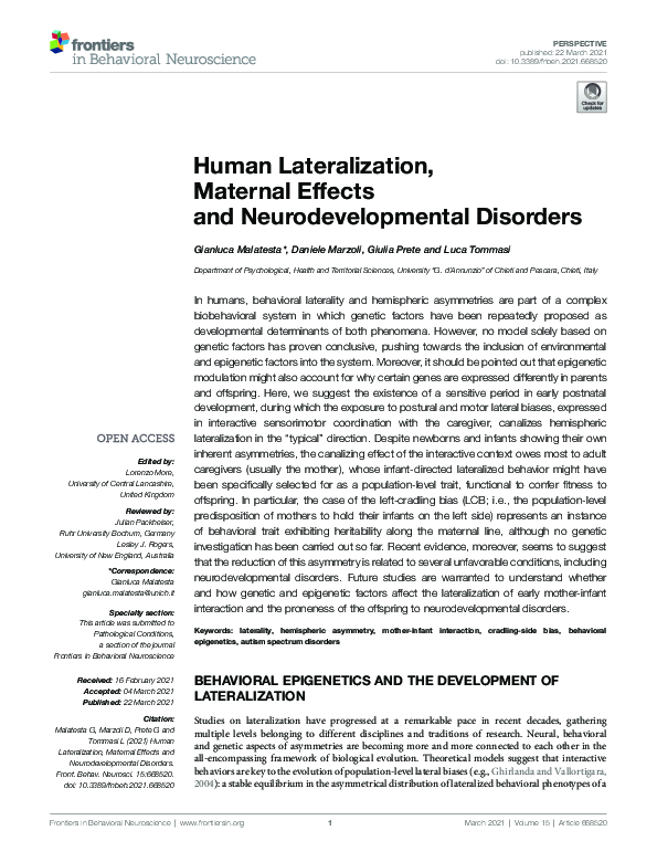 (PDF) Human Lateralization, Maternal Effects and Neurodevelopmental ...