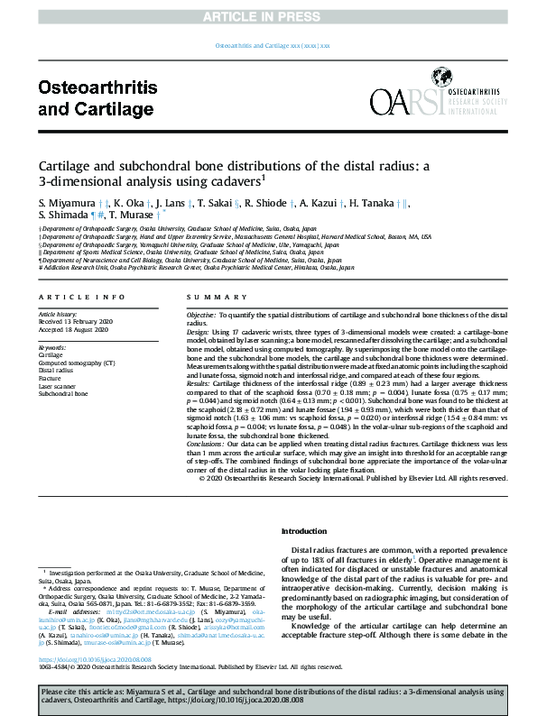 (PDF) Cartilage and subchondral bone distributions of the distal radius ...