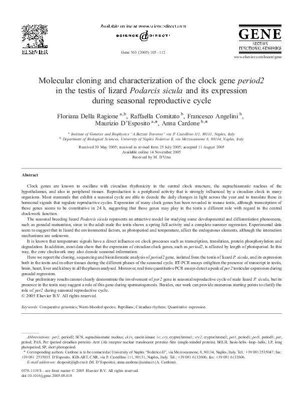 (PDF) Molecular cloning and characterization of the clock gene period2 ...