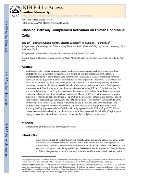 (PDF) Classical pathway complement activation on human endothelial cells