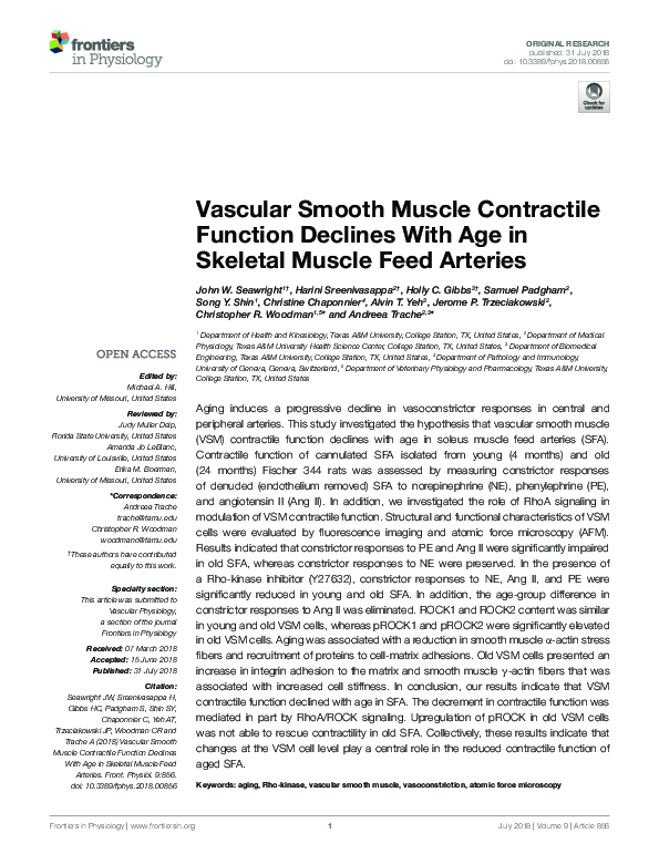 (PDF) Vascular Smooth Muscle Contractile Function Declines With Age in ...
