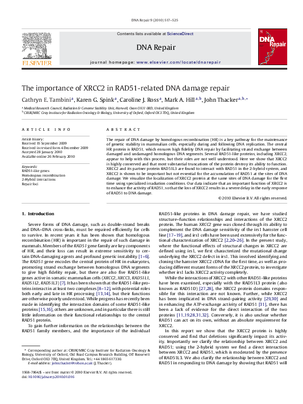 (PDF) The importance of XRCC2 in RAD51-related DNA damage repair