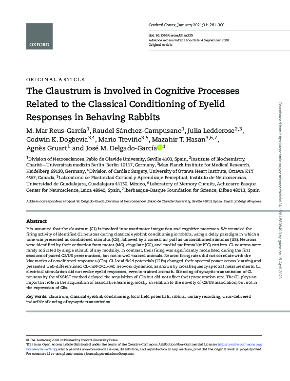 (PDF) The Claustrum is Involved in Cognitive Processes Related to the ...