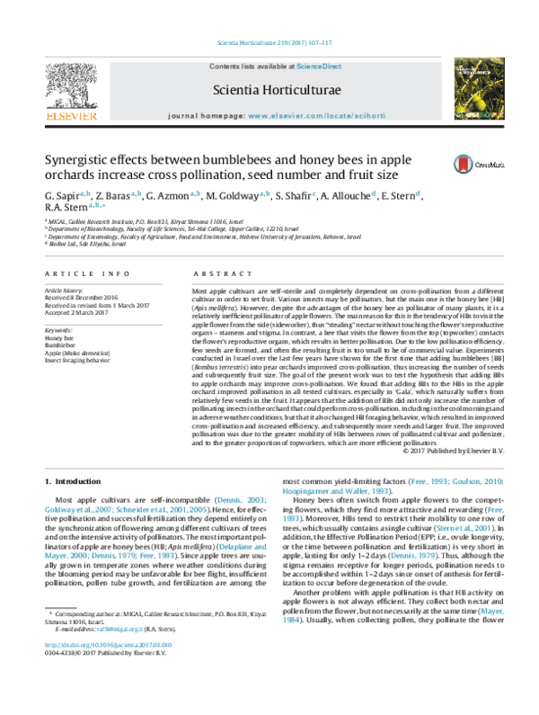 (PDF) Synergistic effects between bumblebees and honey bees in apple ...