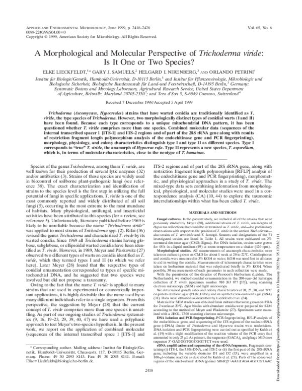 (PDF) A Morphological and Molecular Perspective of Trichoderma viride ...