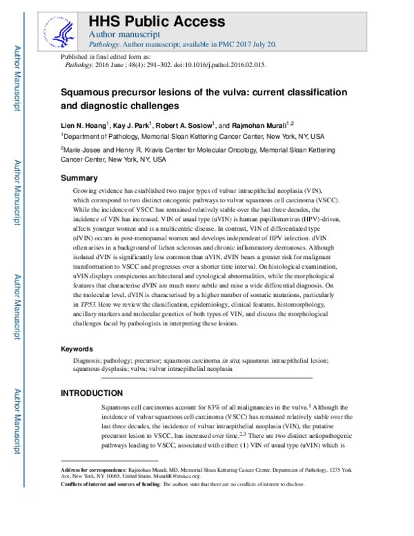 (PDF) Squamous precursor lesions of the vulva: current classification ...