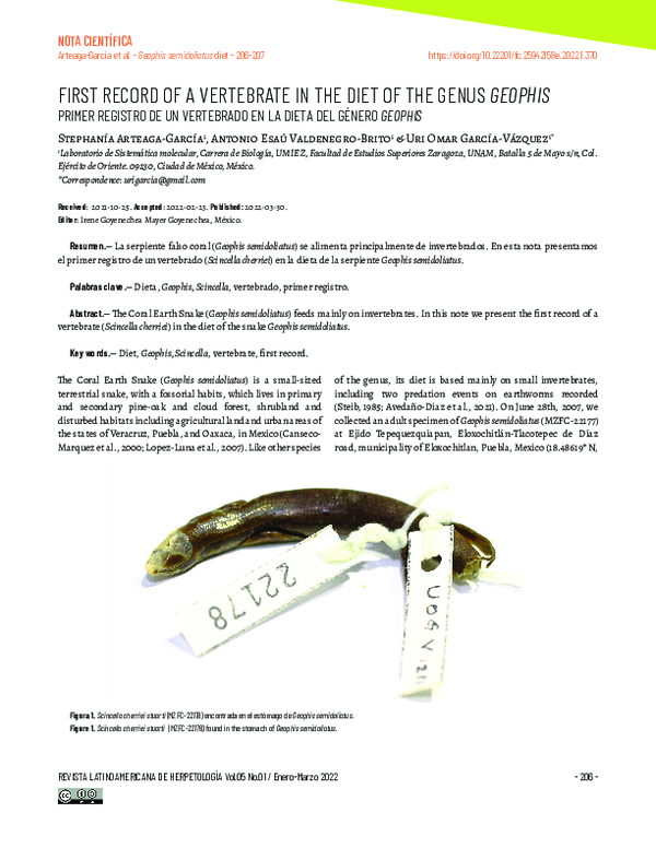 (PDF) FIRST RECORD OF A VERTEBRATE IN THE DIET OF THE GENUS Geophis