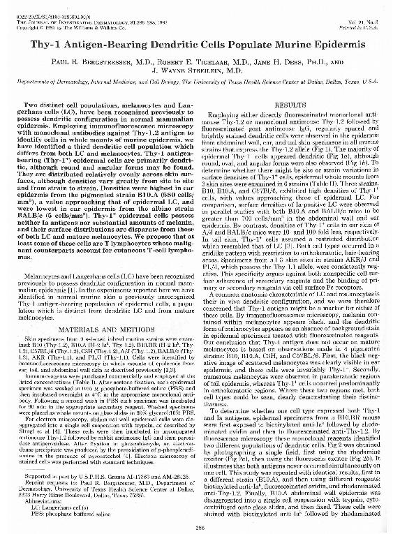 (PDF) Thy-1 Antigen-Bearing Dendritic Cells Populate Murine Epidermis