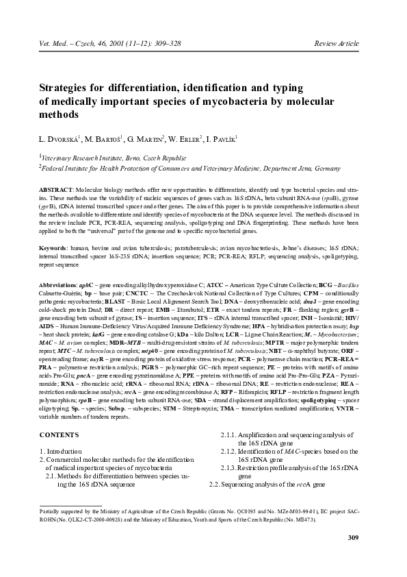 (PDF) Strategies for differentiation, identification and typing of ...