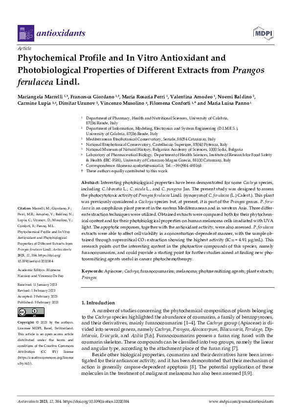 (PDF) Phytochemical Profile and In Vitro Antioxidant and ...