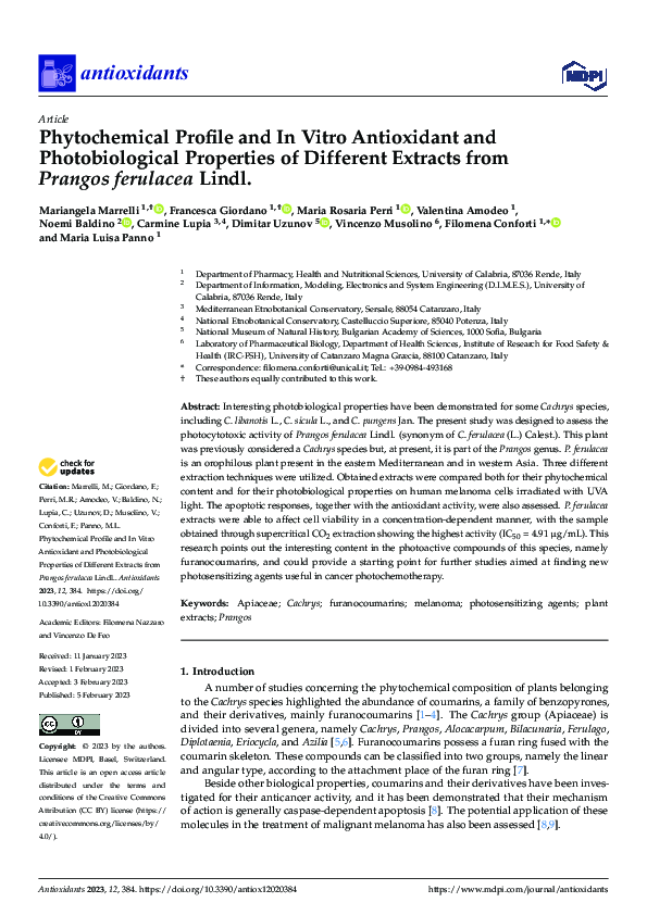 (PDF) Phytochemical Profile and In Vitro Antioxidant and ...