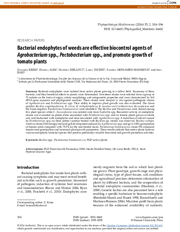 (PDF) Bacterial endophytes of weeds are effective biocontrol agents of ...