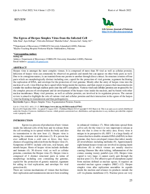(PDF) The Egress of Herpes Simplex Virus from the Infected Cell