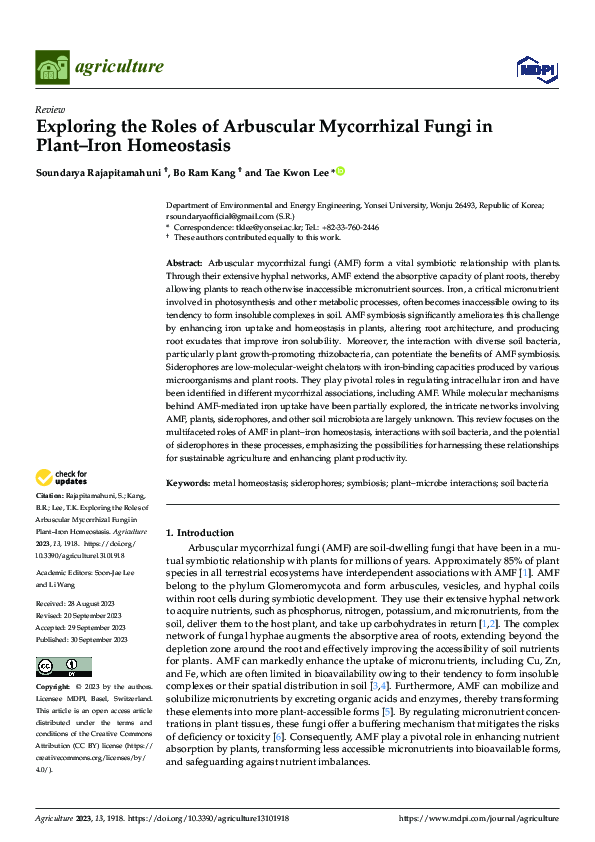 (PDF) Exploring the Roles of Arbuscular Mycorrhizal Fungi in Plant–Iron ...