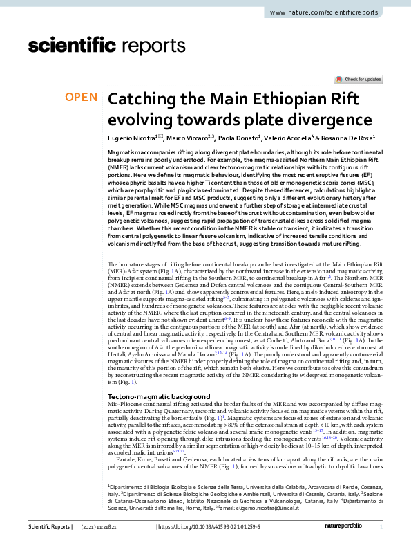 (PDF) Catching the Main Ethiopian Rift evolving towards plate divergence