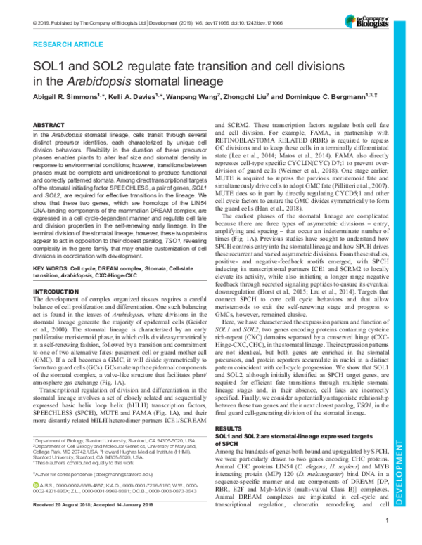 (PDF) SOL1 and SOL2 regulate fate transition and cell divisions in the ...