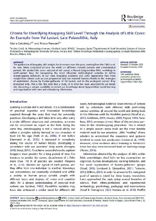 (PDF) Criteria for Identifying Knapping Skill Level Through the ...