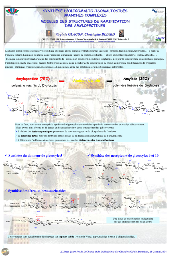 (PDF) Synthese D'Oligomalto-Isomaltosides Branches Complexes Modeles ...