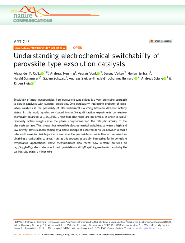 (PDF) Understanding electrochemical switchability of perovskite-type ...
