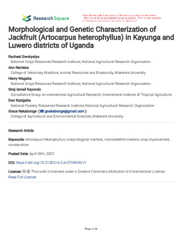 (PDF) Morphological and Genetic Characterization of Jackfruit ...