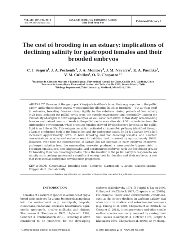 (PDF) The cost of brooding in an estuary: implications of declining ...
