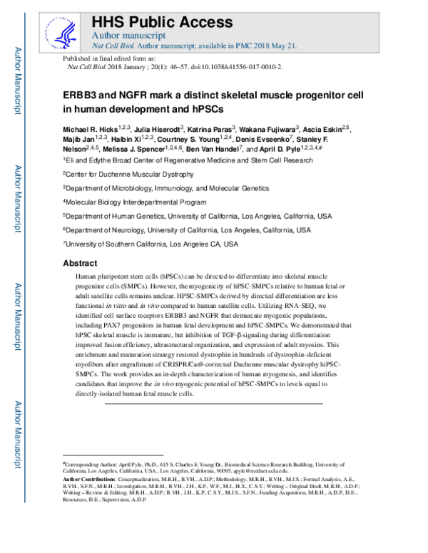 (PDF) ERBB3 and NGFR mark a distinct skeletal muscle progenitor cell in ...