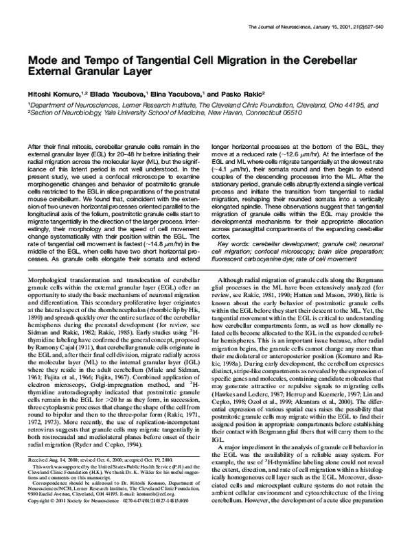 (PDF) Mode and Tempo of Tangential Cell Migration in the Cerebellar ...