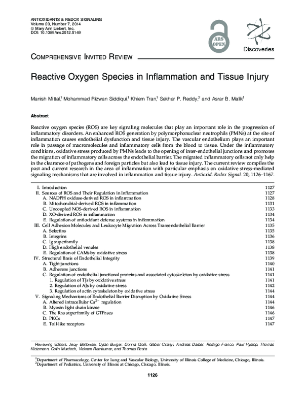 (PDF) Reactive Oxygen Species in Inflammation and Tissue Injury