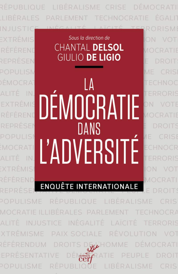 (PDF) L'excès de douceur en démocratie