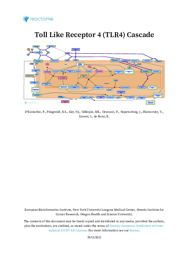 (PDF) Toll Like Receptor 4 (TLR4) Cascade