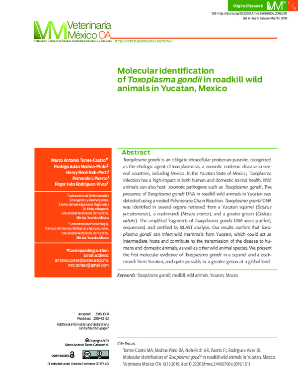 (PDF) Molecular identification of Toxoplasma gondii in roadkill wild ...