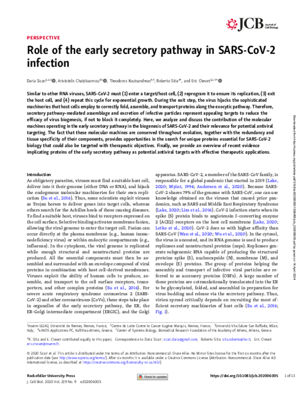(PDF) Role of the early secretory pathway in SARS-CoV-2 infection
