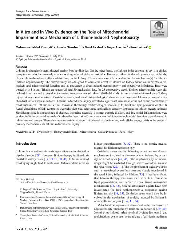 (PDF) In Vitro and In Vivo Evidence on the Role of Mitochondrial ...