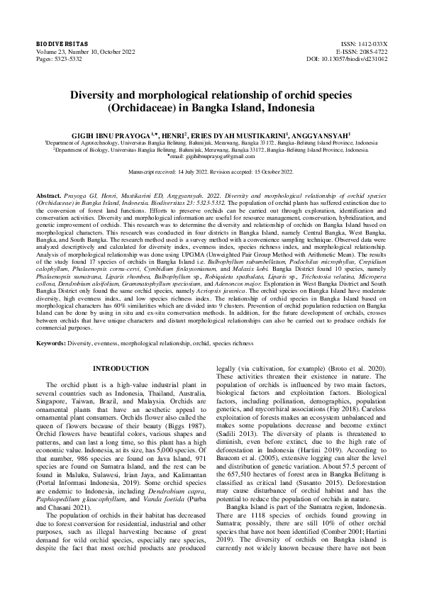 (PDF) Diversity and morphological relationship of orchid species ...