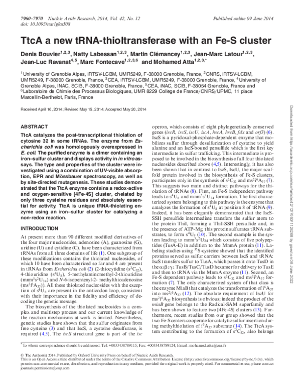 (PDF) TtcA a new tRNA-thioltransferase with an Fe-S cluster