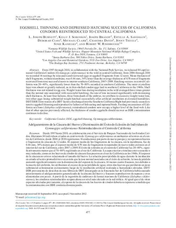 (PDF) Eggshell Thinning and Depressed Hatching Success of California ...