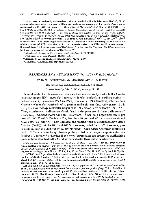 (PDF) Messenger-Rna Attachment to Active Ribosomes