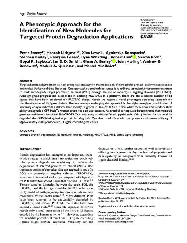 (PDF) A Phenotypic Approach for the Identification of New Molecules for ...